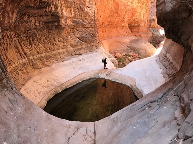 A lone canyoneer stands above a pool of water in a narrow side canyon