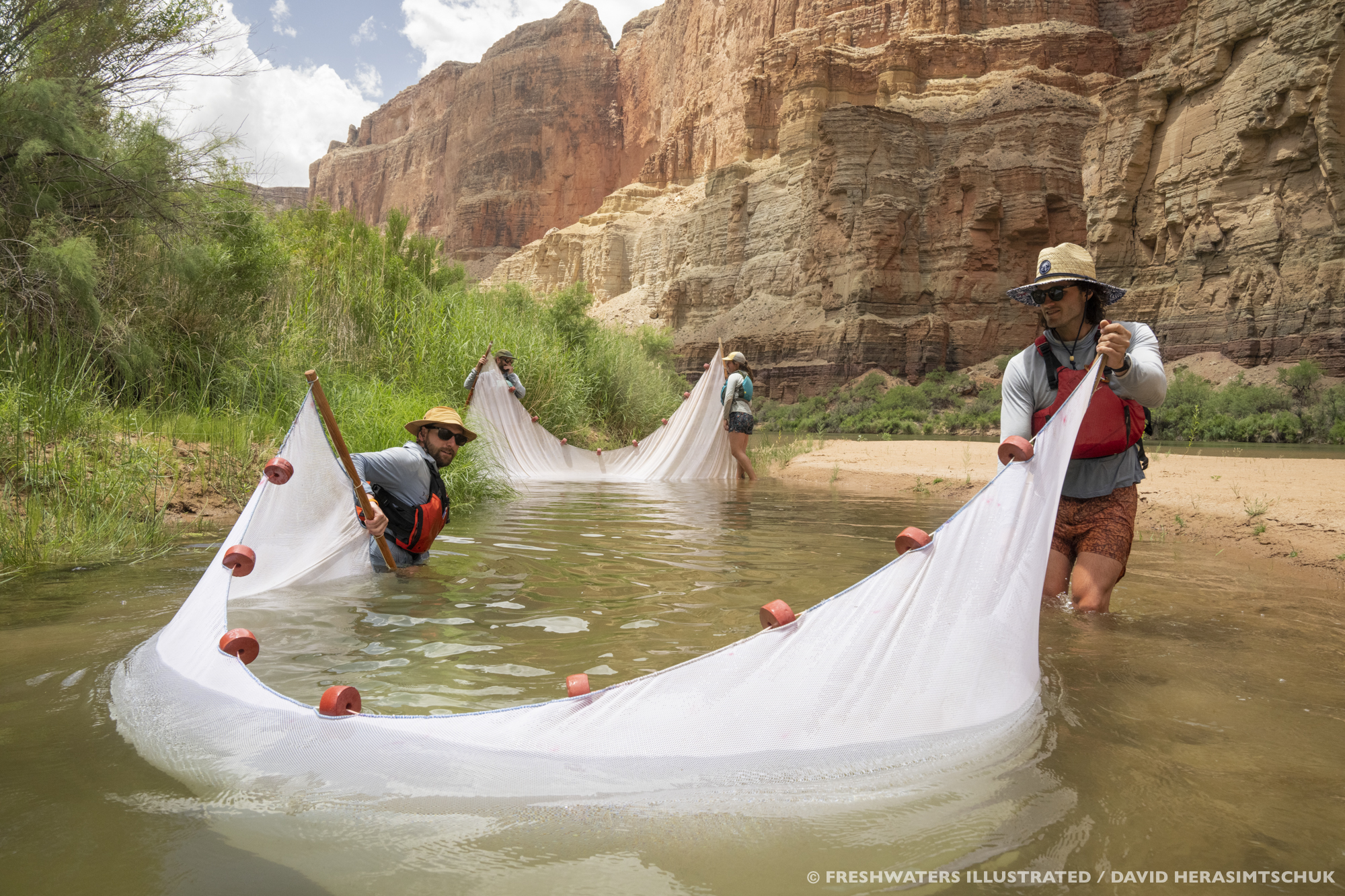 Fish Sampling with large nets