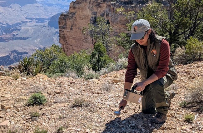 A park employee is taking radiation measurements with a Geiger counter, near the edge of Grand Canyon
