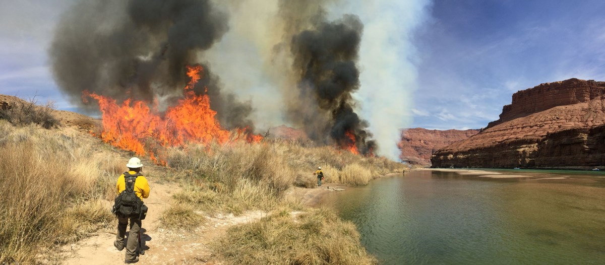 A wildland firefighter monitors a small fire along the Colorado River near Lees Ferry