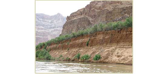 eroding bluffs in areas where camps previously existed.