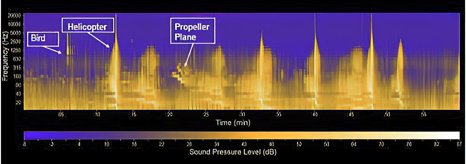A chart with sound pressure and time in minutes on the x axis and frequency on the y axis. The higher the sound pressure, the lighter in color it is. There are spikes of orange coloration which indicates spikes in sound pressure.