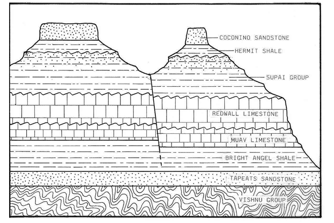 Outlined drawing, labeling the layers of Grand Canyon