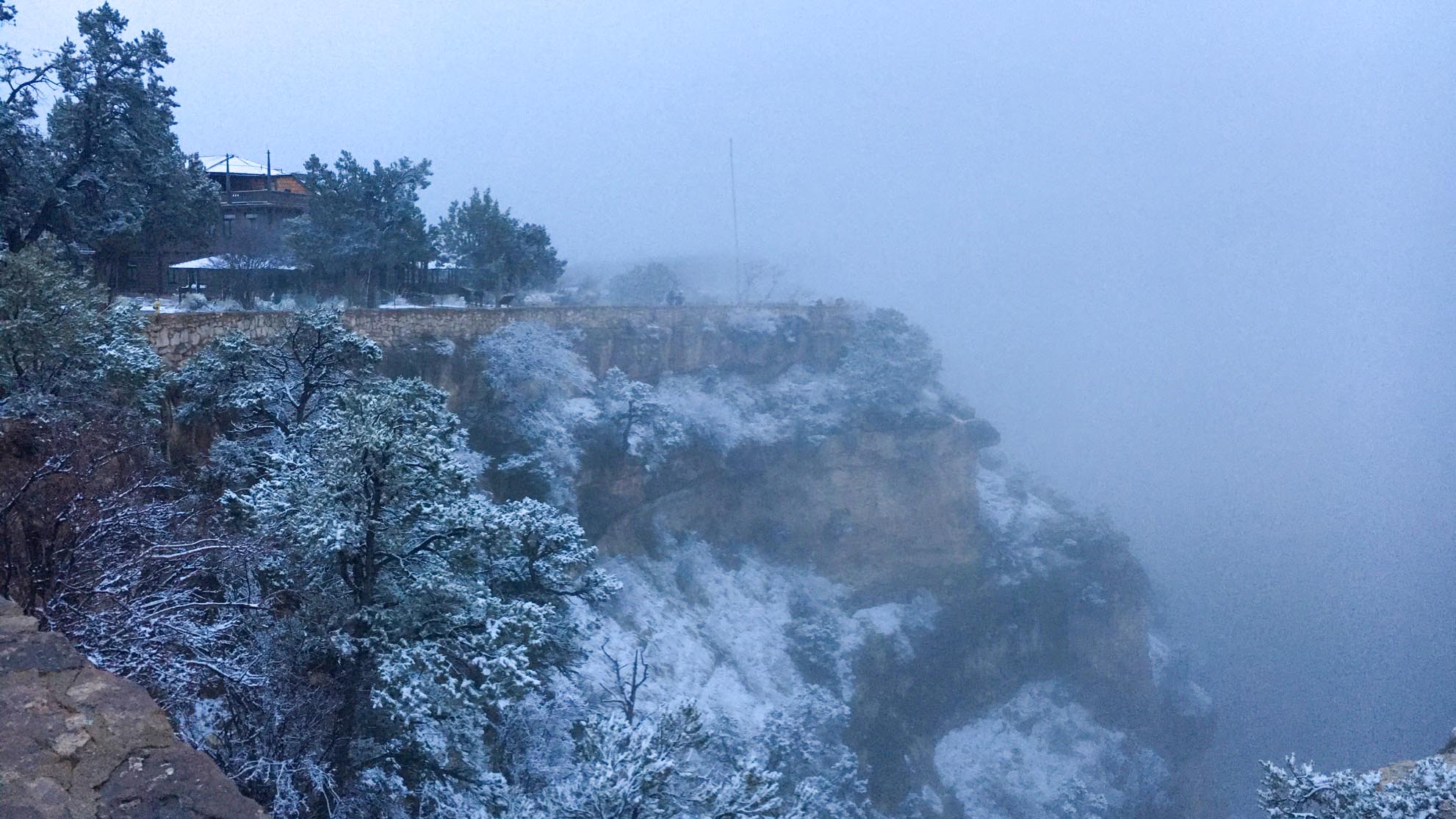 snow covered trees and vegetation descending the side of a cliff. Fog blocks the view of the landscape.