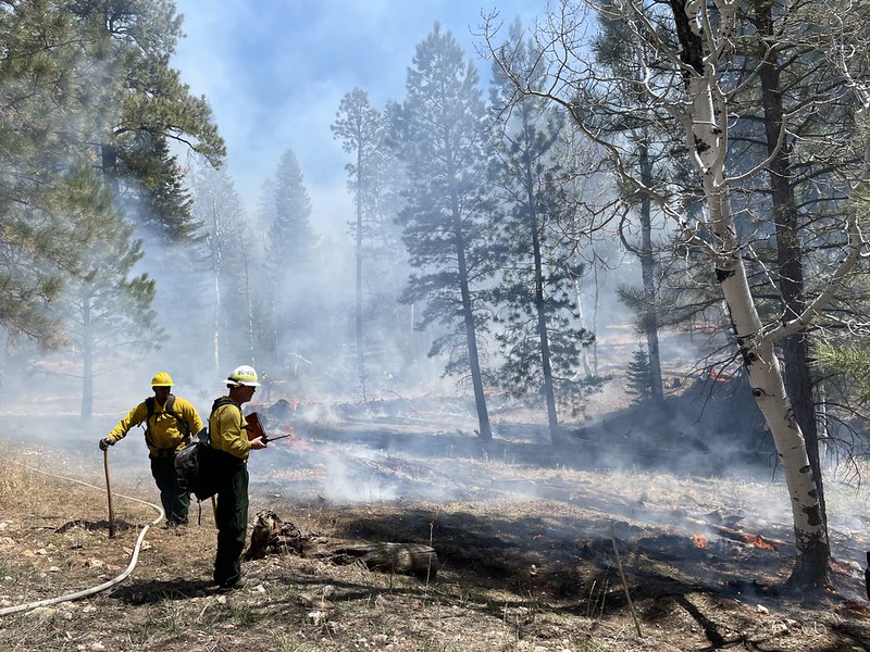 Firefighters monitor a prescribed burn on the north rim