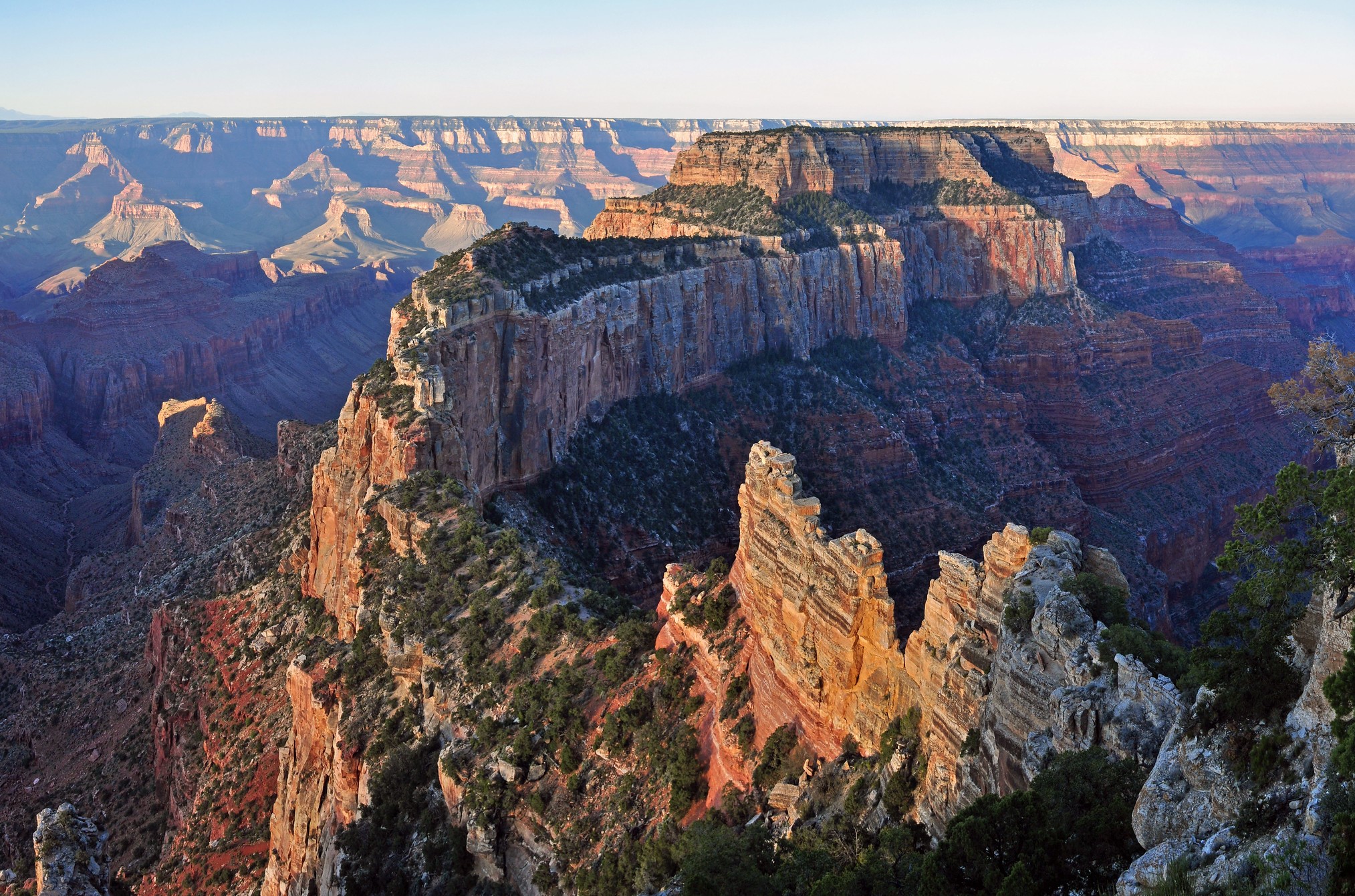 Muted sunrise illuminates gold and orange cliffs at Cape Royal on the North Rim of Grand Canyon National Park