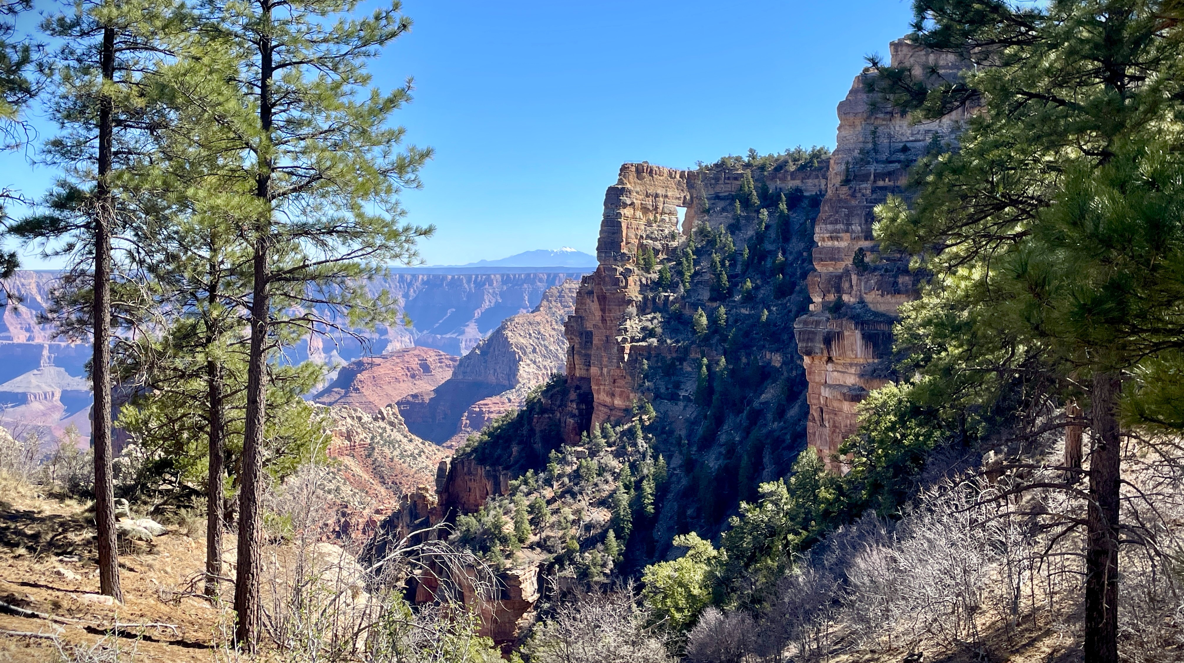 A rock cliff with a small window in the middle of a forested landscape