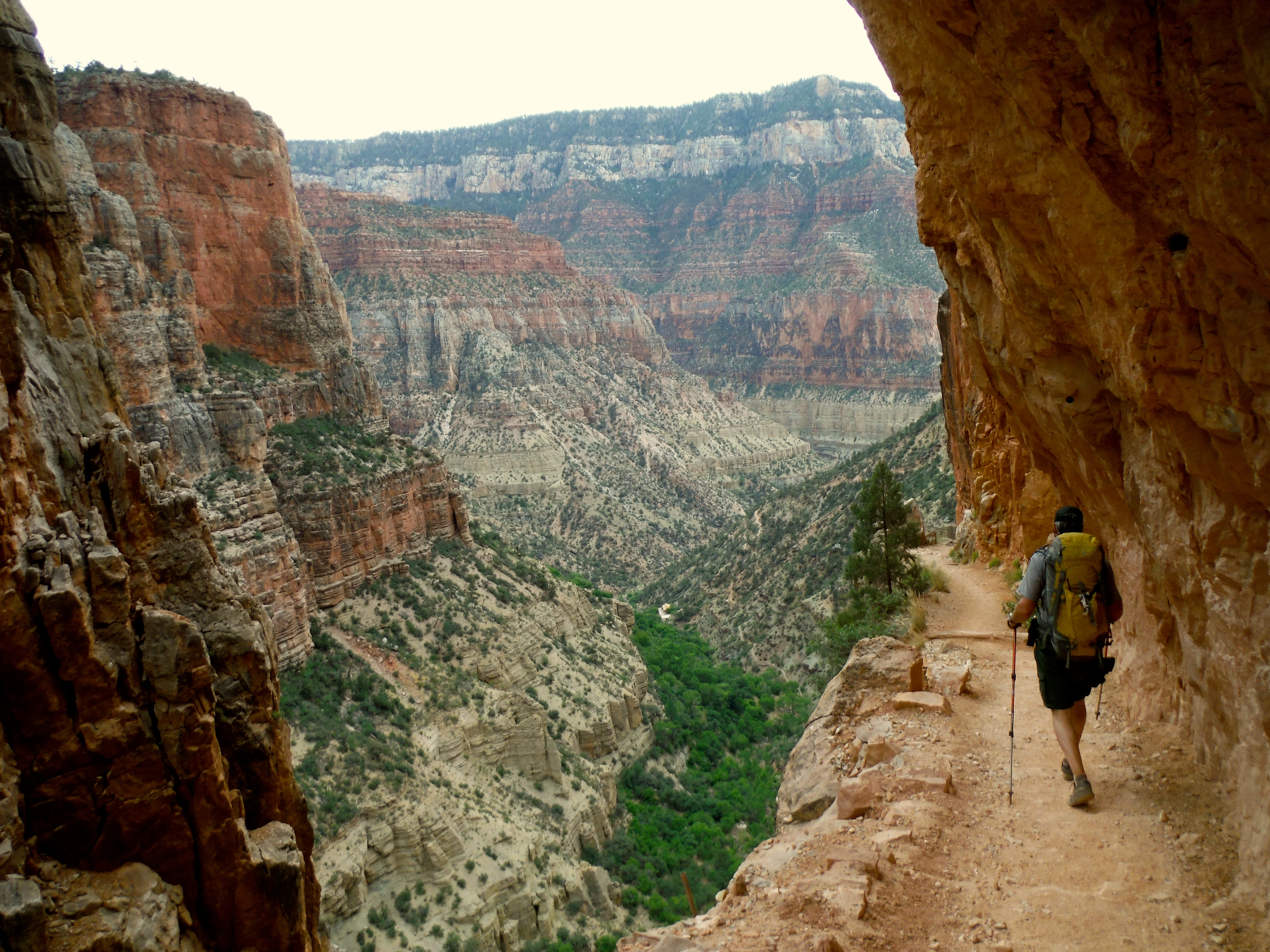 A backpacker hikes along the North Kaibab Trail