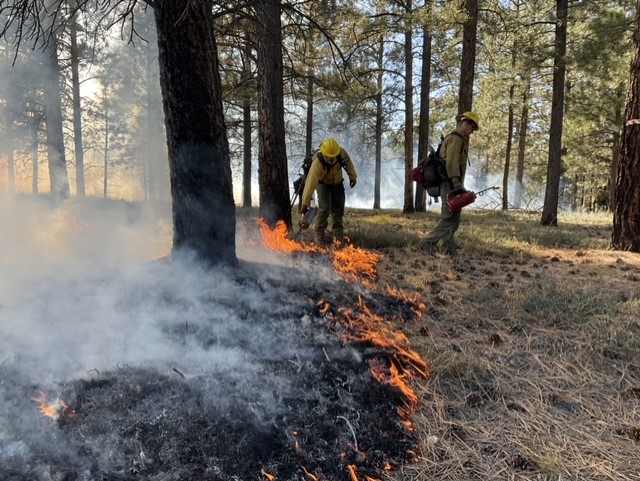 Fire managers plan for prescribed fire operations within North Rim ...