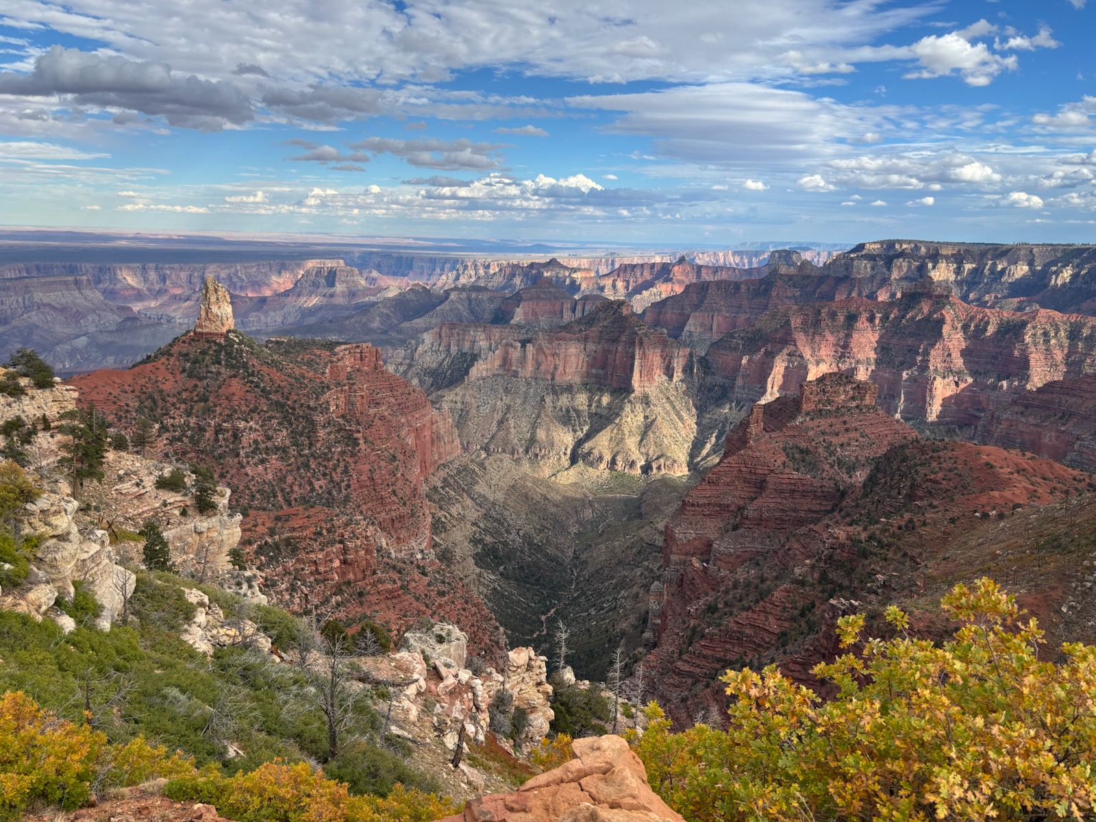 A canyon landscape and a bright blue sky with fall colors in the foreground