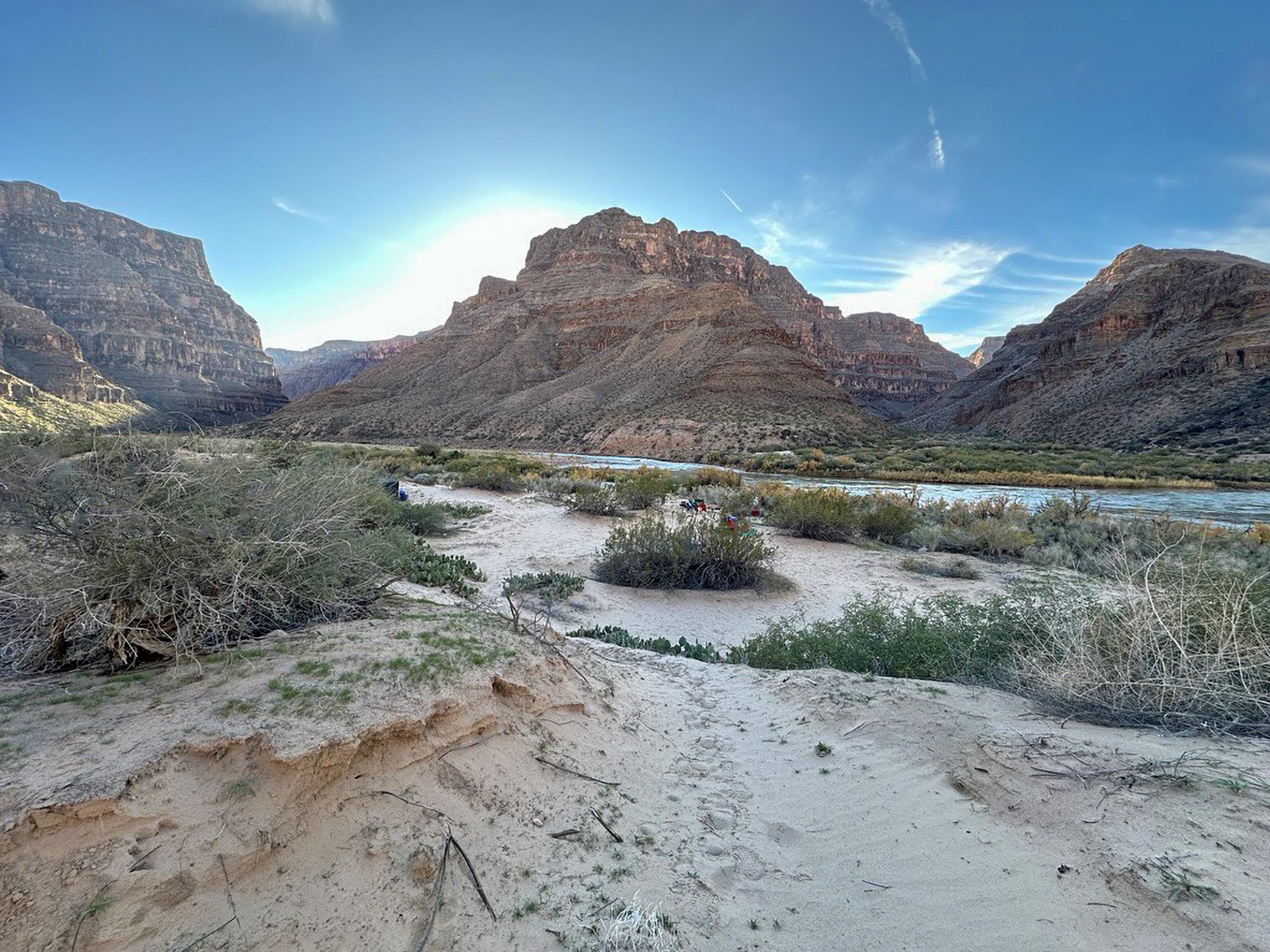 A beach along the Colorado River with riparian vegetation and grasses alongside beach