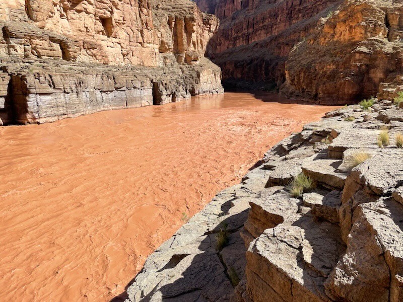 Dark brown water flows through a canyon