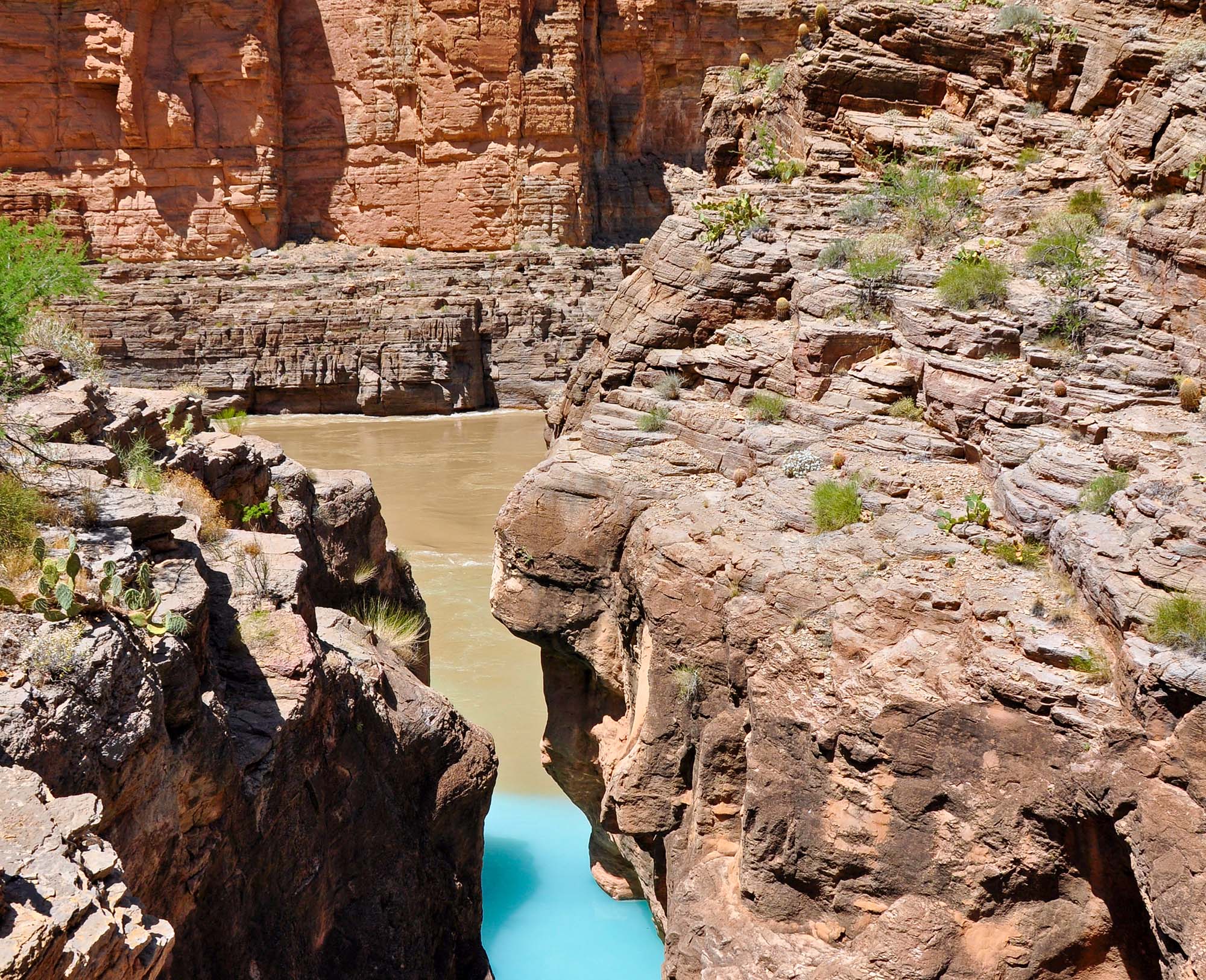turquoise blue waters of a creek meet brown river water beneath sheer canyon walls.