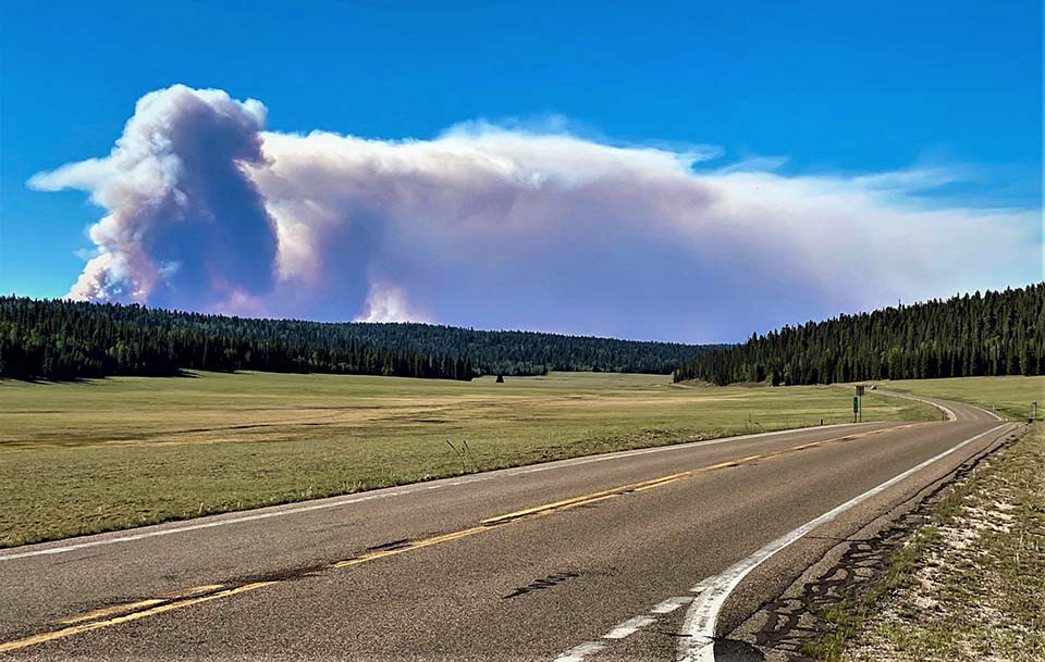 Looking down a two lane road through and open park surrounded by forest with a column of smoke from a wildfire in the distance.
