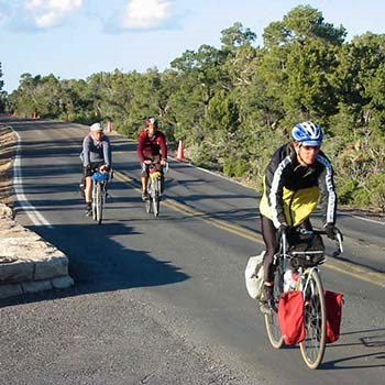 Three bicyclists riding on a paved road along the edge of a forested area.