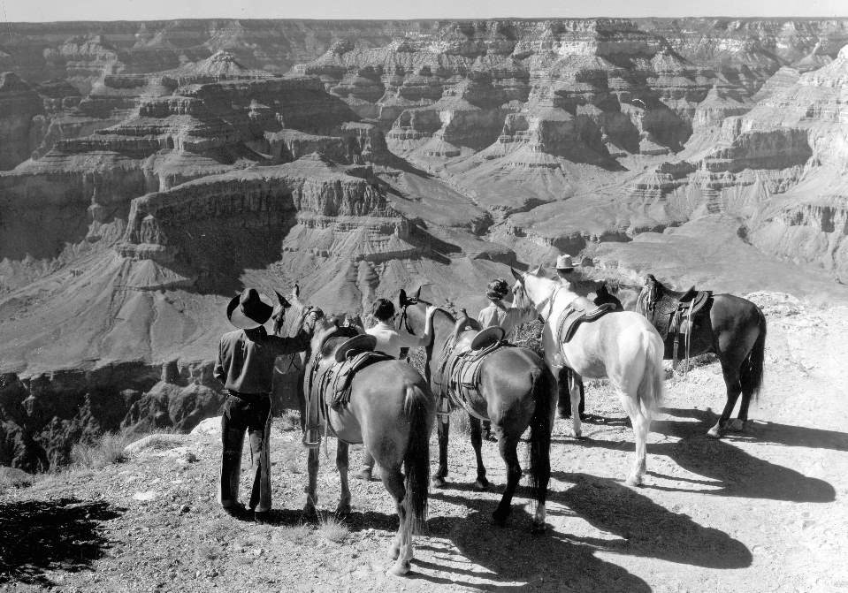 Standing on the edge of a vast canyon landscape of buttes and cliffs, a guide and three riders are standing next to their respective horses.