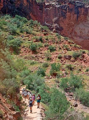 A guided hike into the canyon.