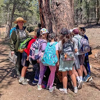 a group of junior rangers gathered around the base of a large ponderosa pine tree with a park ranger on the side.