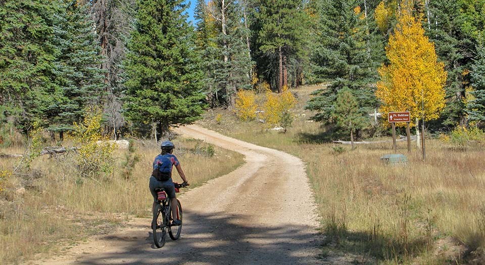 a bicyclist wearing a helmet is starting down a dirt road on the edge of a forest.
