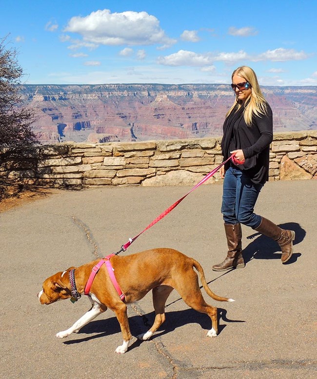 a woman is walking a brown and white dog on a leash past a stone wall overlooking a colorful desert landscape.