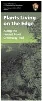 cover of Hermit Road greenway plant guide