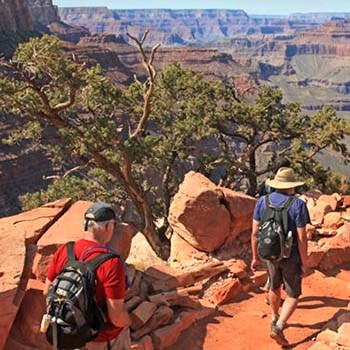 Two hikers, wearing summer clothes, are descending an unpaved trail into a vast canyon.