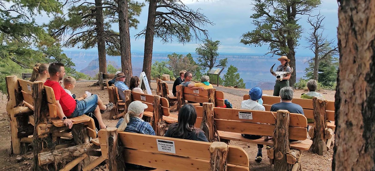 under tall pine trees, a park ranger is giving a talk to about a dozen people who are sitting on wooden benches in an outdoor amphitheater on the rim of a large canyon.