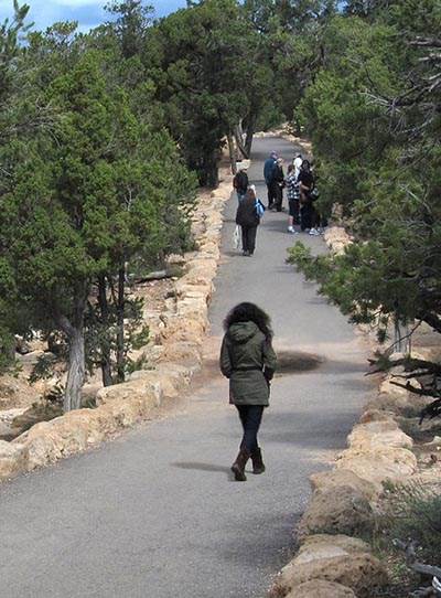 several people walking through a forest along a paved footpath with rock liners one either side.