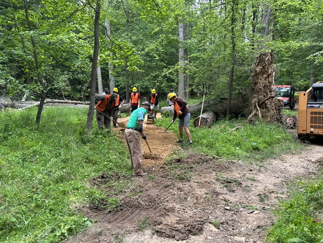 Several people with helmets and orange vests use tools to clear brush along a trail.
