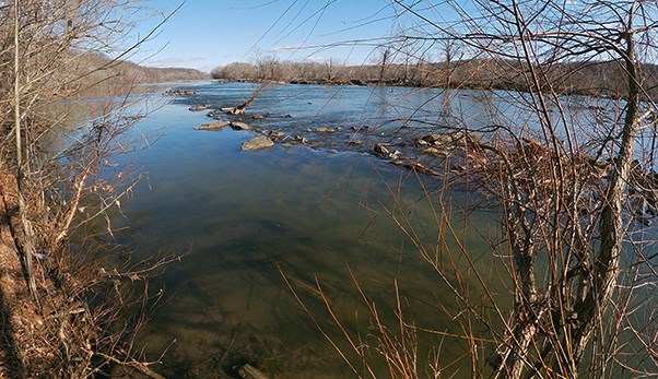 Here is an image of the Great Falls Wing Dam at River Level 3.75