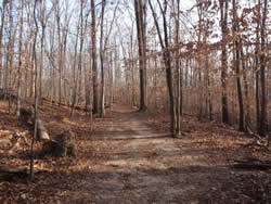 The Ridge Trail in winter.