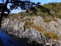 A view of Mather Gorge from the River Trail.