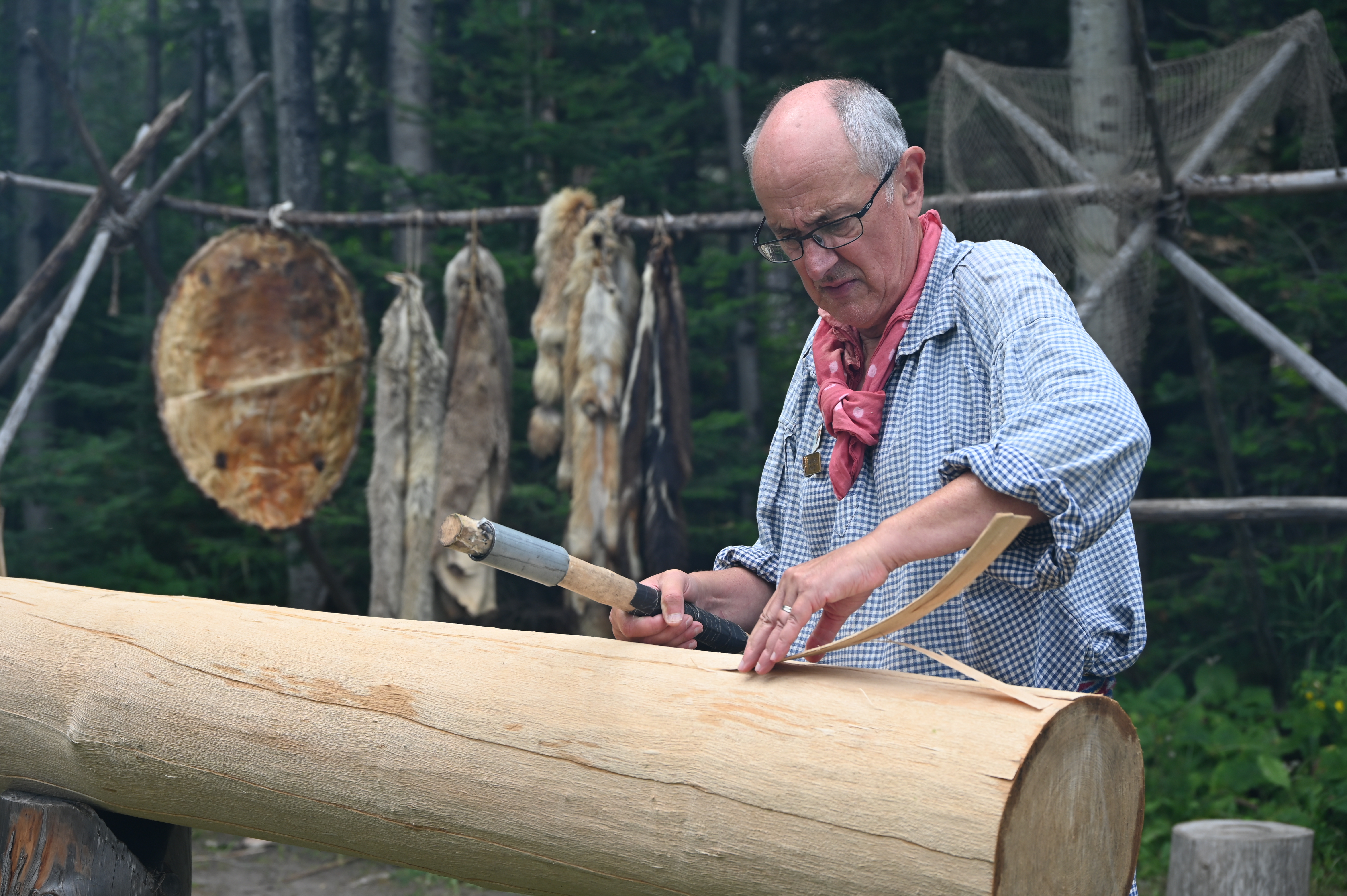 A volunteer in historic dress uses a mallet to pound on a ash log while pulling up strips of wood.