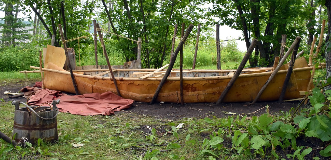 A birch bark canoe under construction.