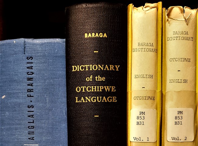 Four book spines showing dictionary titles.