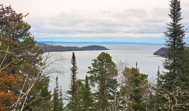 Treetops in front of a bay with a peninsula and island, with a long, blue island on the horizon.