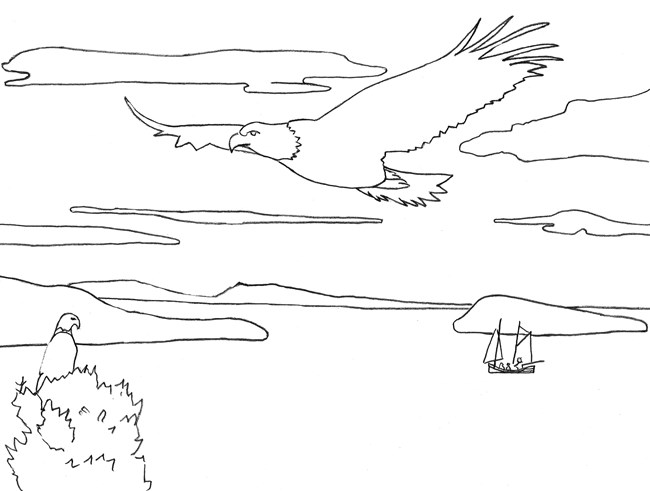Line drawing of two eagles, one perched and one flying over a bay. A boat sails in front of an island and clouds streak the sky.