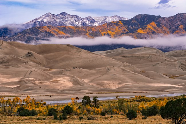The dunes on a cloudy day with fresh snow on the mountains and gold cottonwood and aspen trees