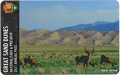 A scene with deer in front of the dunes