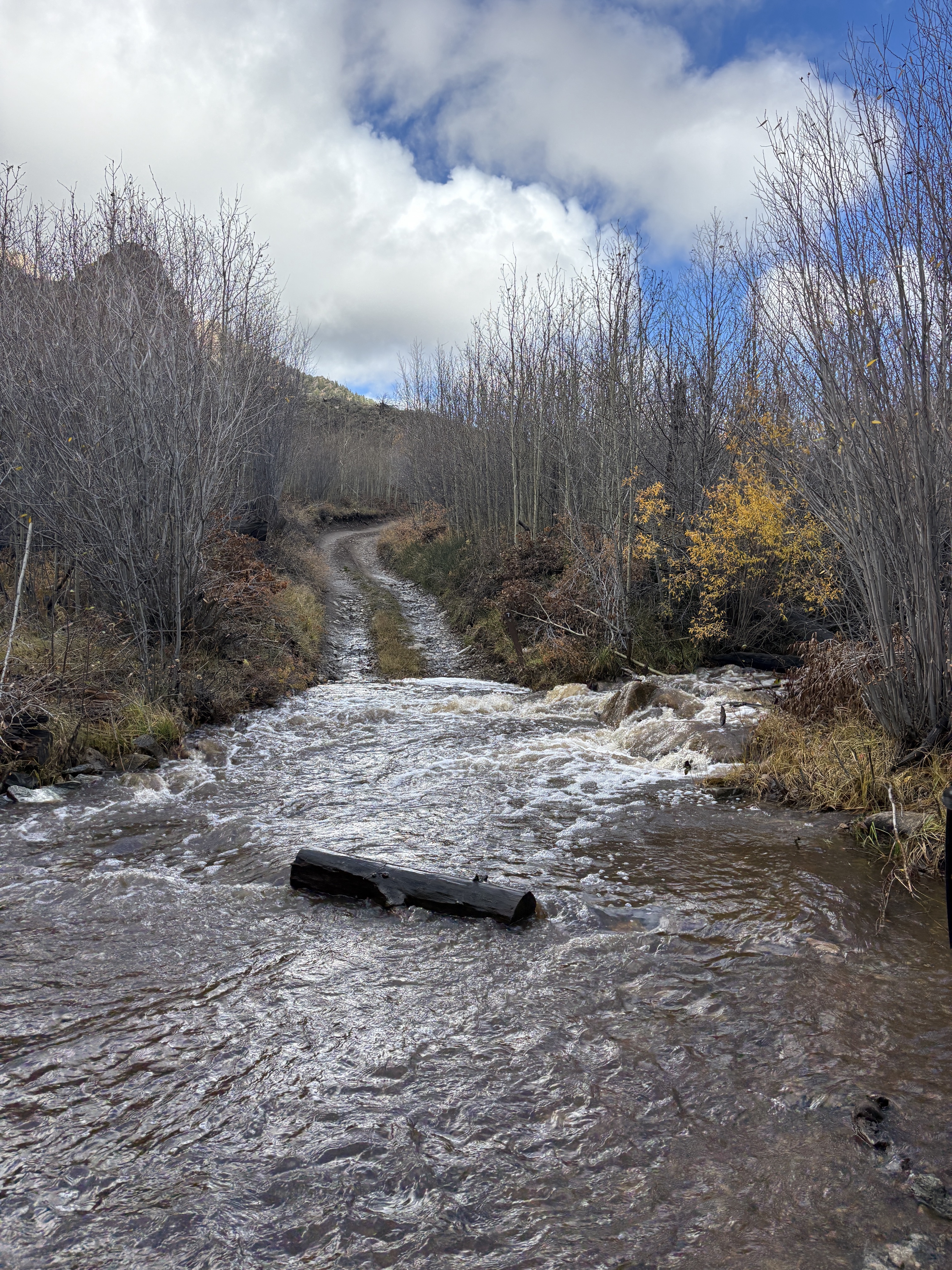 A primitev dire road where is crosses a wide creek with rapidly flowing water