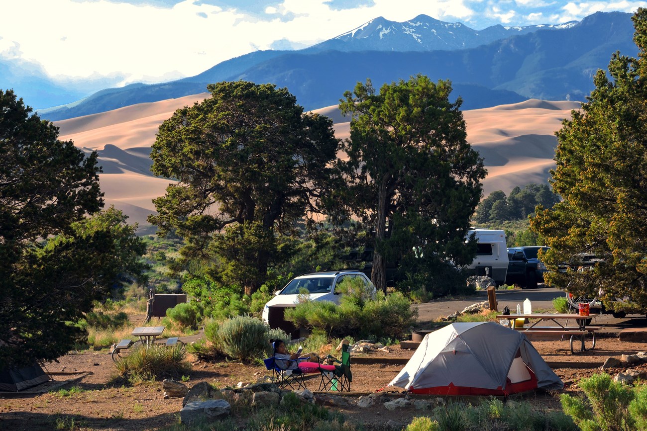 View of Pinon Flats Campground Sites, Dunes, and Mountains