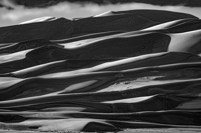 Black and White Photography of Dune Ridges