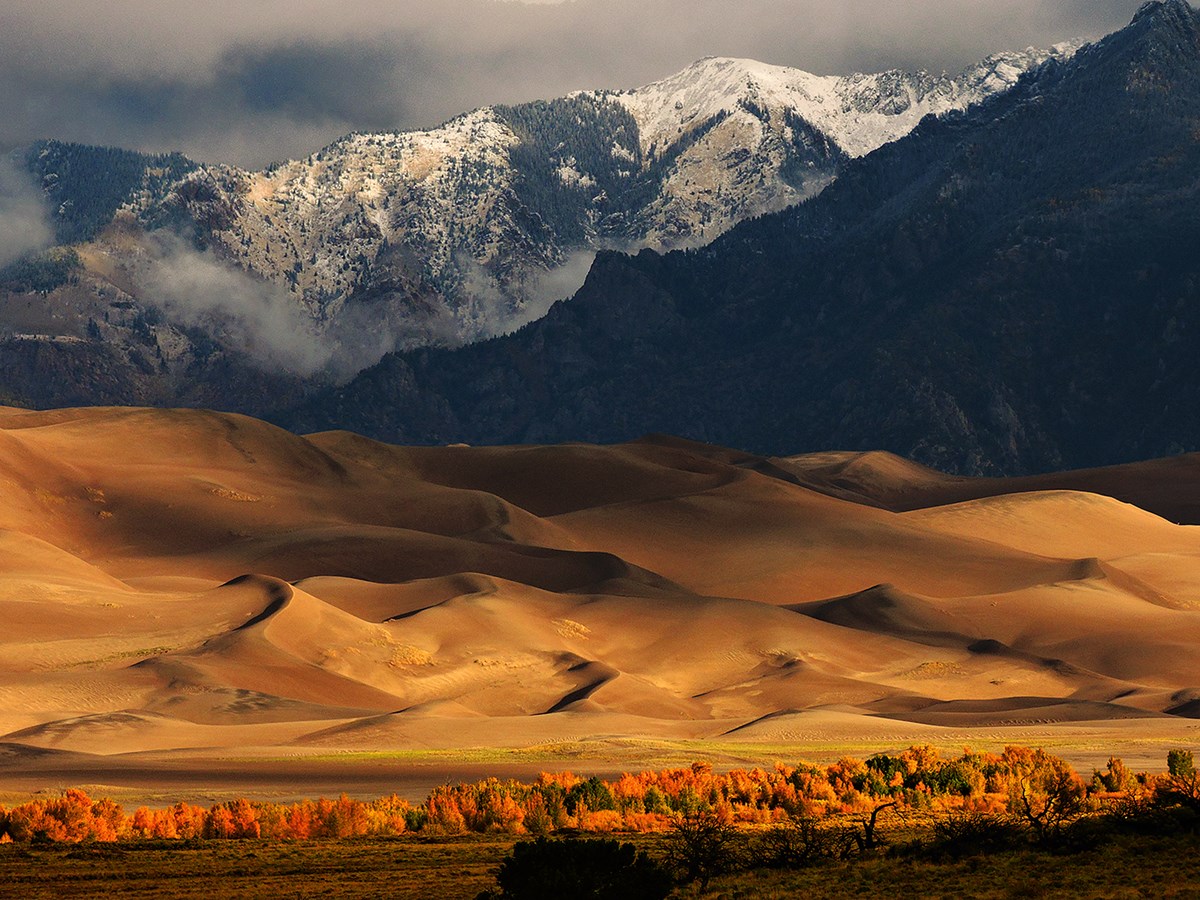 Gold Cottonwoods, Dunes, and Snow-Capped Mountains
