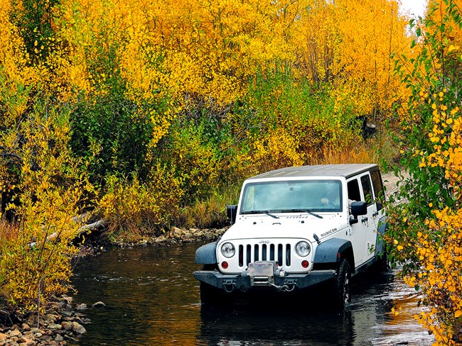 A jeep crosses Medano Creek along the Medano Pass Road with gold aspen trees around the road