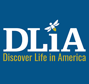DLIA Logo. Text: DLiA, Discover Life in America on blue background with a bug as the dot for the I