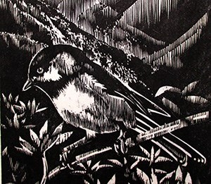 a black and white woodcut print of a bird