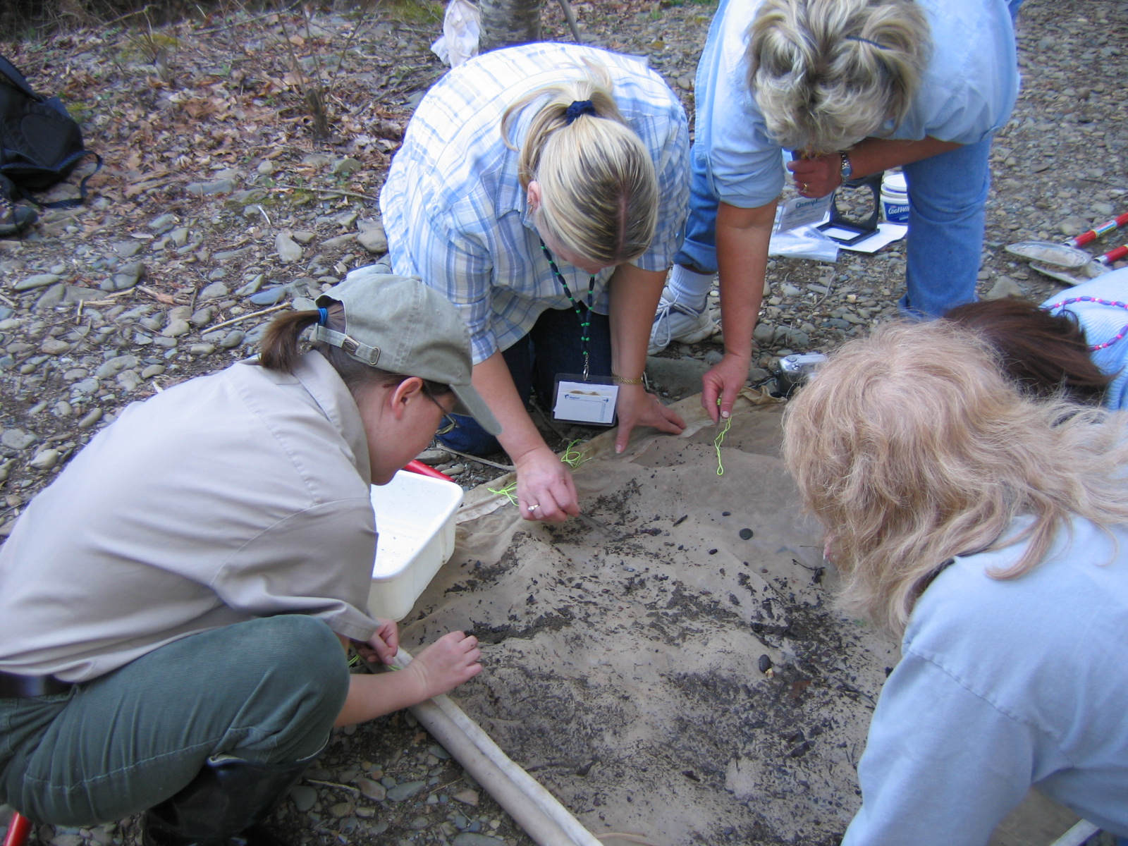 Three people and one ranger kneeling around a dirt plot holding forceps