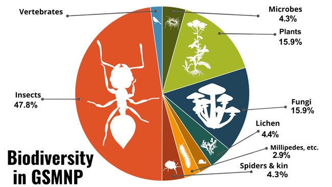 Biodiversity Pie Chart of the species of Great Smoky Mountains National Park