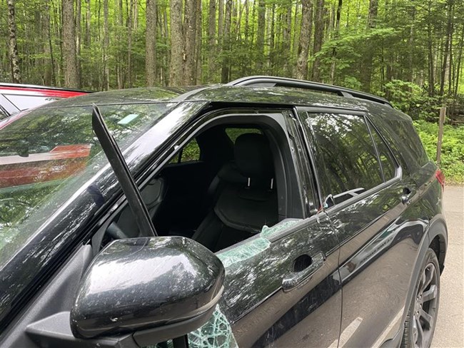 A vehicle which has had its window shattered by a bear.