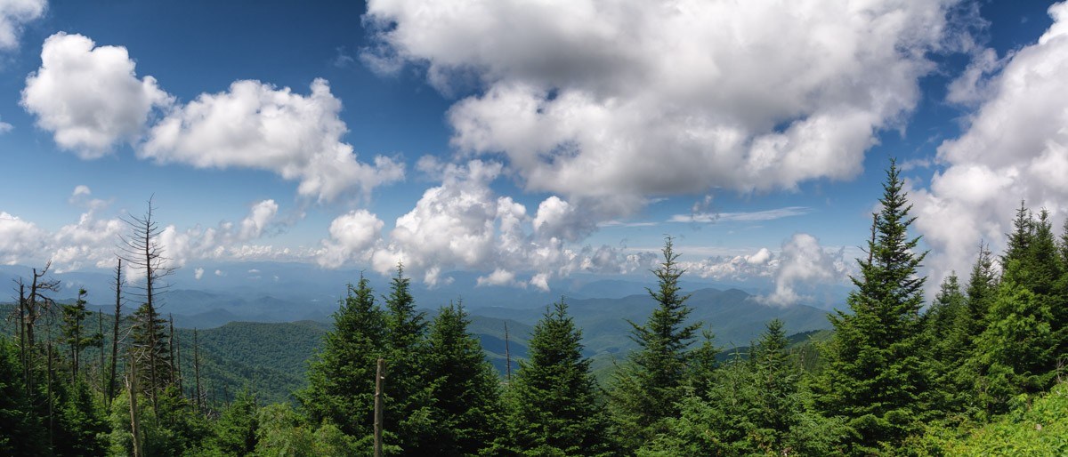 An overlook of vast mountains and forest.